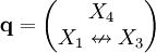 \mathbf q=\begin{pmatrix}X_4\\X_1\nleftrightarrow X_3\end{pmatrix}