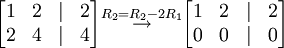 \begin{bmatrix} 1 & 2 & \mid & 2 \\ 2 & 4 & \mid & 4 \end{bmatrix} \overset{R_2=R_2-2R_1}{\rightarrow}
\begin{bmatrix} 1 & 2 & \mid & 2 \\ 0 & 0 & \mid & 0 \end{bmatrix}
